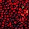 Local Food: Cranberries