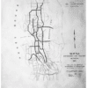 Unmute the Commute: Seattle's Freeway Revolt