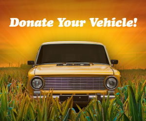 Yellow car in a field of tall grass under a vibrant orange sky. Bold white text above reads "Donate Your Vehicle!" conveying a warm, inviting tone.