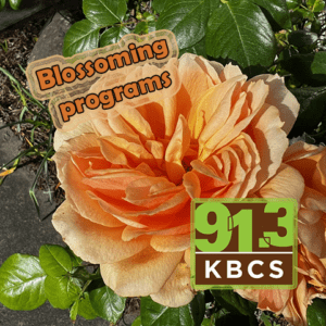 KBCS Blossoms