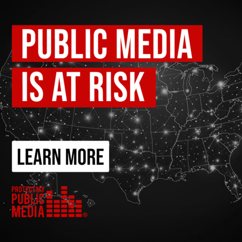 Map of the U.S. with glowing network lines. Bold text reads "Public Media is at Risk" in red. A button below says "Learn More." Serious tone.
