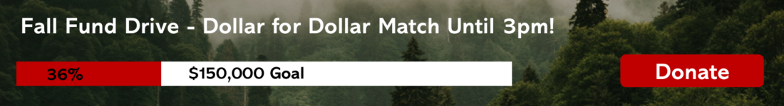 Fund drive progress meter showing 36% progress towards $150,000 goal. All gifts matched until 3pm.