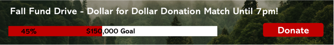 Fund drive progress meter showing 45% progress towards $150,000 goal. All gifts matched until 7pm.