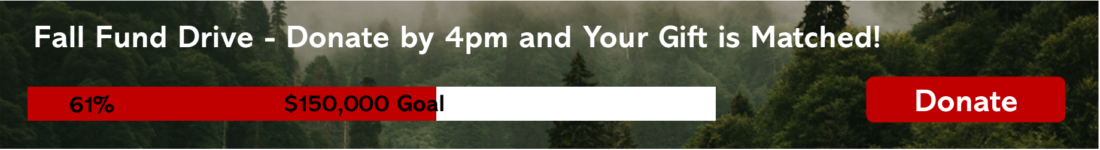 Fund drive progress meter showing 61% progress towards $150,000 goal. All gifts matched until 4pm.