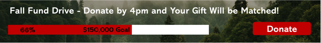 Fund drive progress meter showing 67% progress towards $150,000 goal. All gifts matched until 4pm.