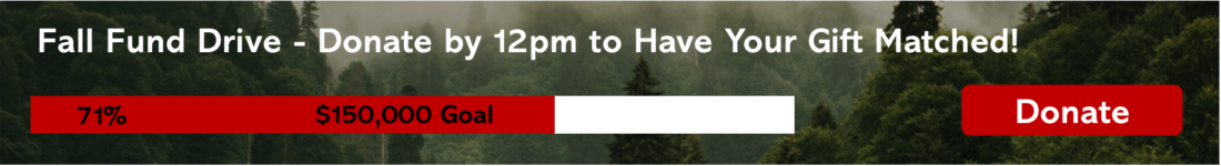 Fund drive progress meter showing 71% progress towards $150,000 goal. All gifts matched until 12pm.