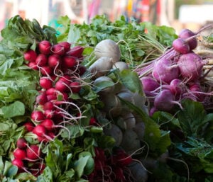 Three types of radishes piled in bunches at a market.
