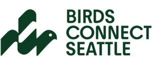 Birds Connect Seattle logo featuring a geometric dark green bird illustration made of angular overlapping shapes beside bold dark green sans serif text reading Birds Connect Seattle on a white background